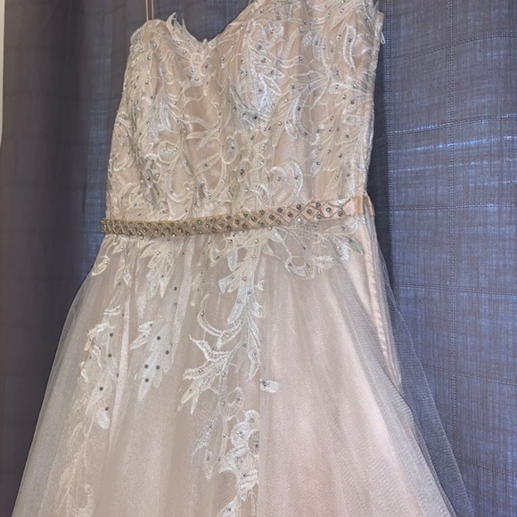 Prom Dress - Picture 3 of 6